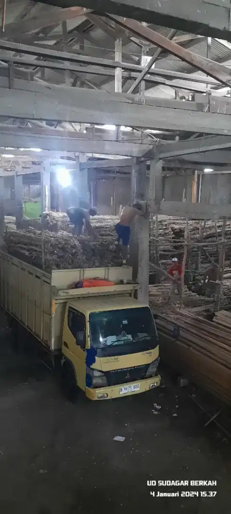 Jual dolken gelam sumatera