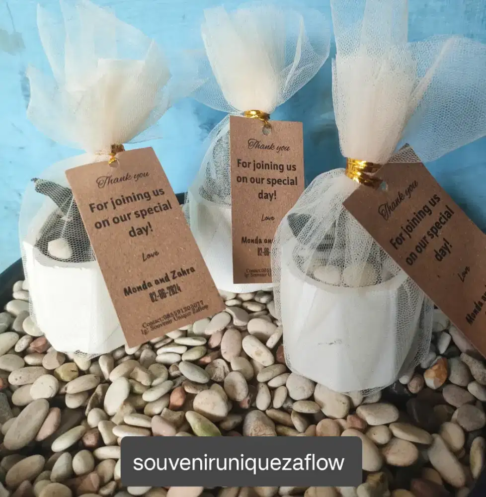 Souvenir pernikahan uniq sukulen