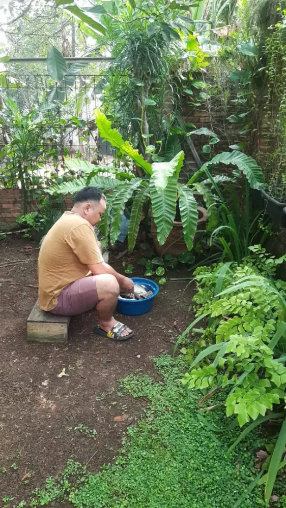 Assalamualaikum. Lgi nyari kerjaan jadi supir pribadi.