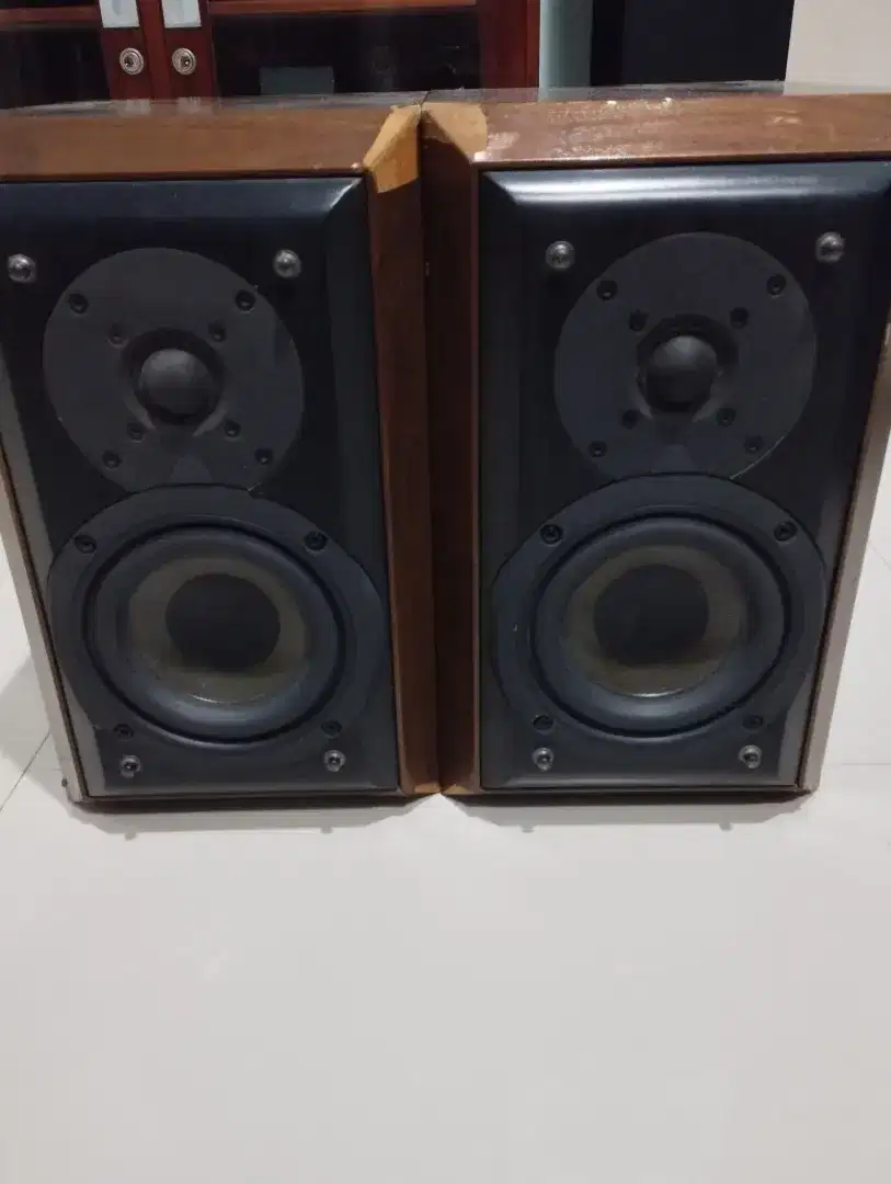 Speaker Kenwood LS-300G