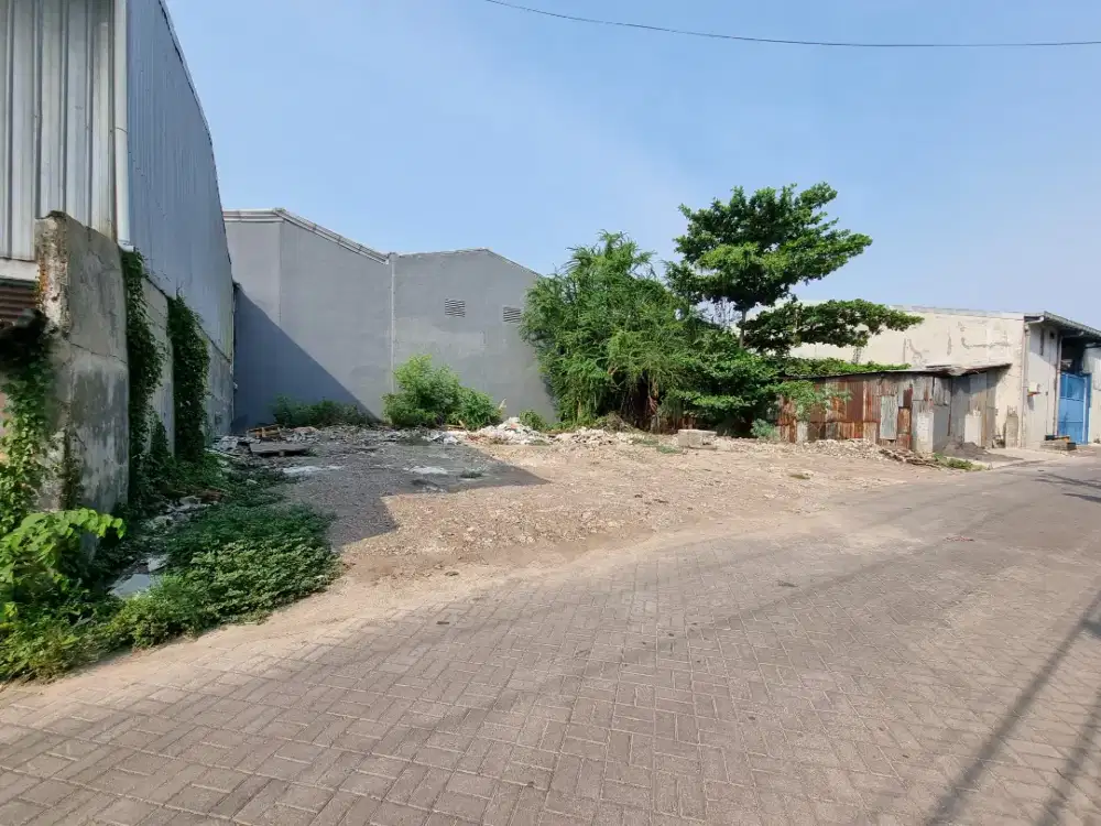 DIJUAL MURAH TANAH STRATEGIS DAERAH SURAMADU UKURAN 20 X 20 METER