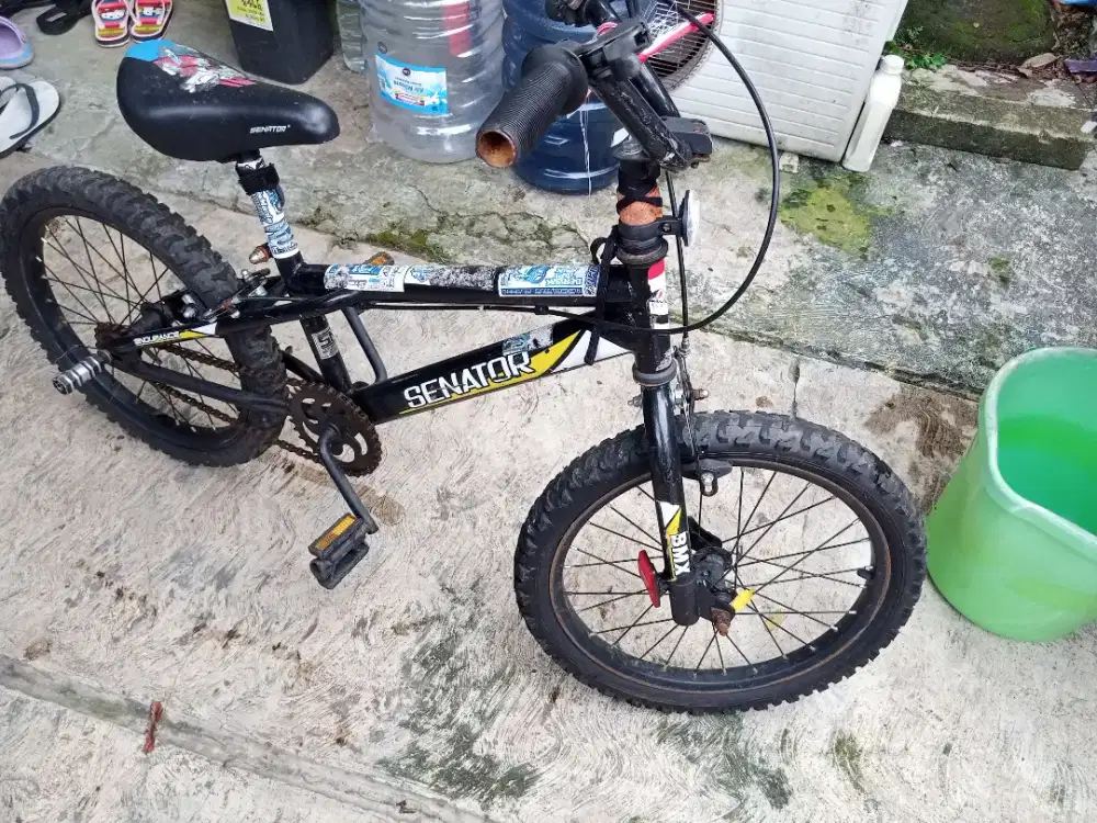 Sepeda anak senator