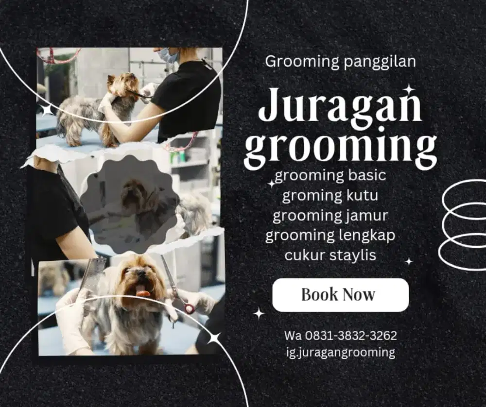 JURAGAN PET GROOMING PANGGILAN JAKARTA TANGERANG