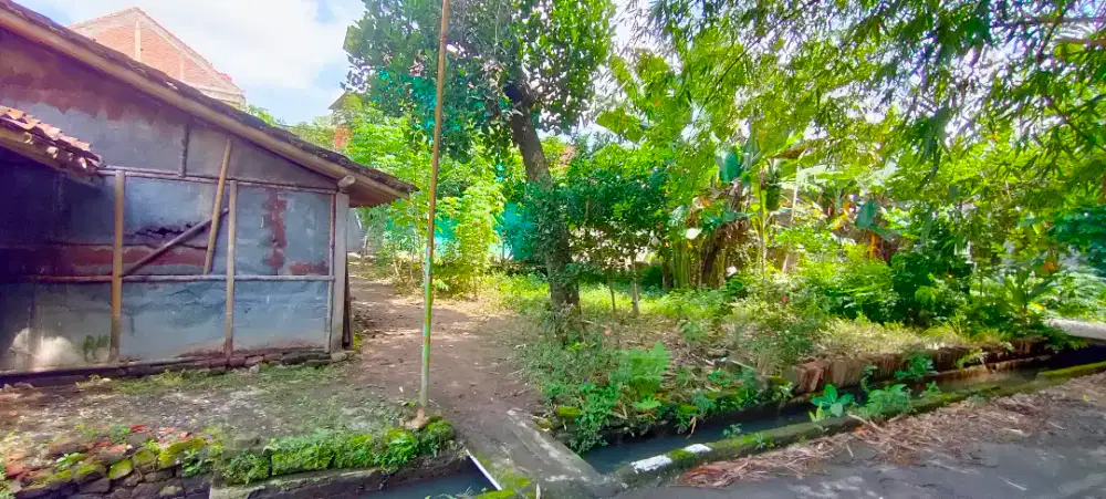 Dijual Tanah pekarangan luas 265 m²