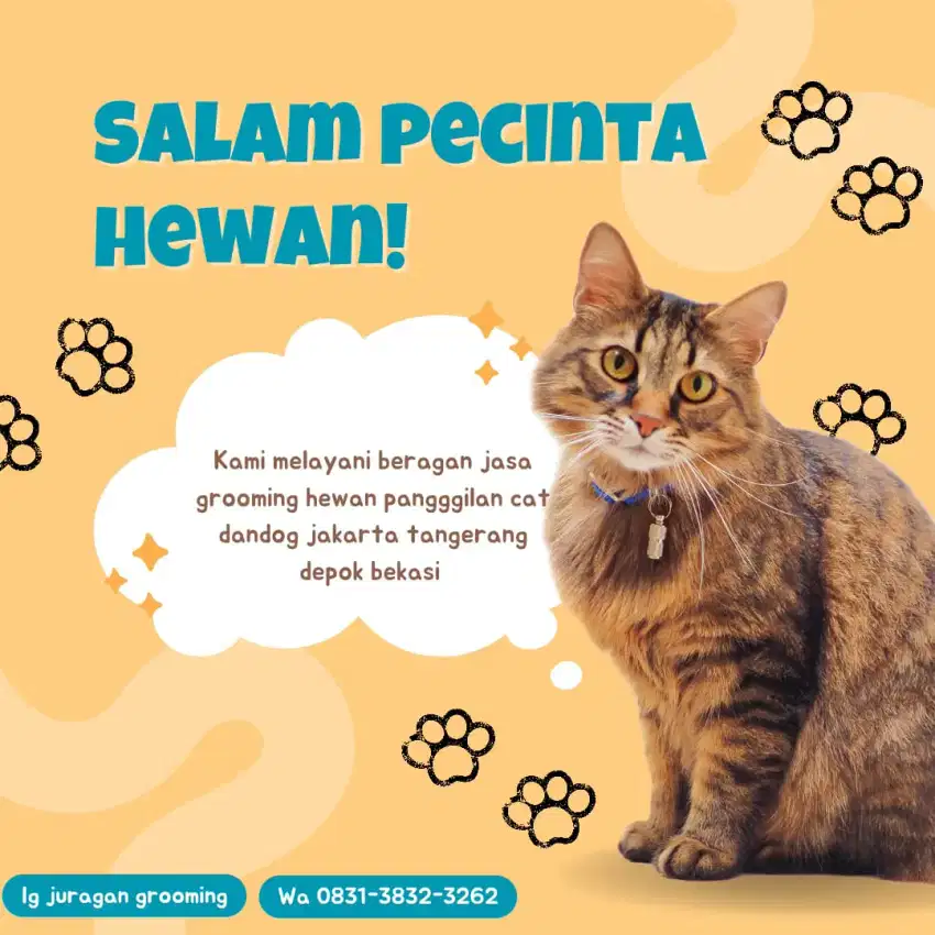 Grooming kucing&anjing panggilan terdekat_JURAGAN GROOMING_CIPUTAT