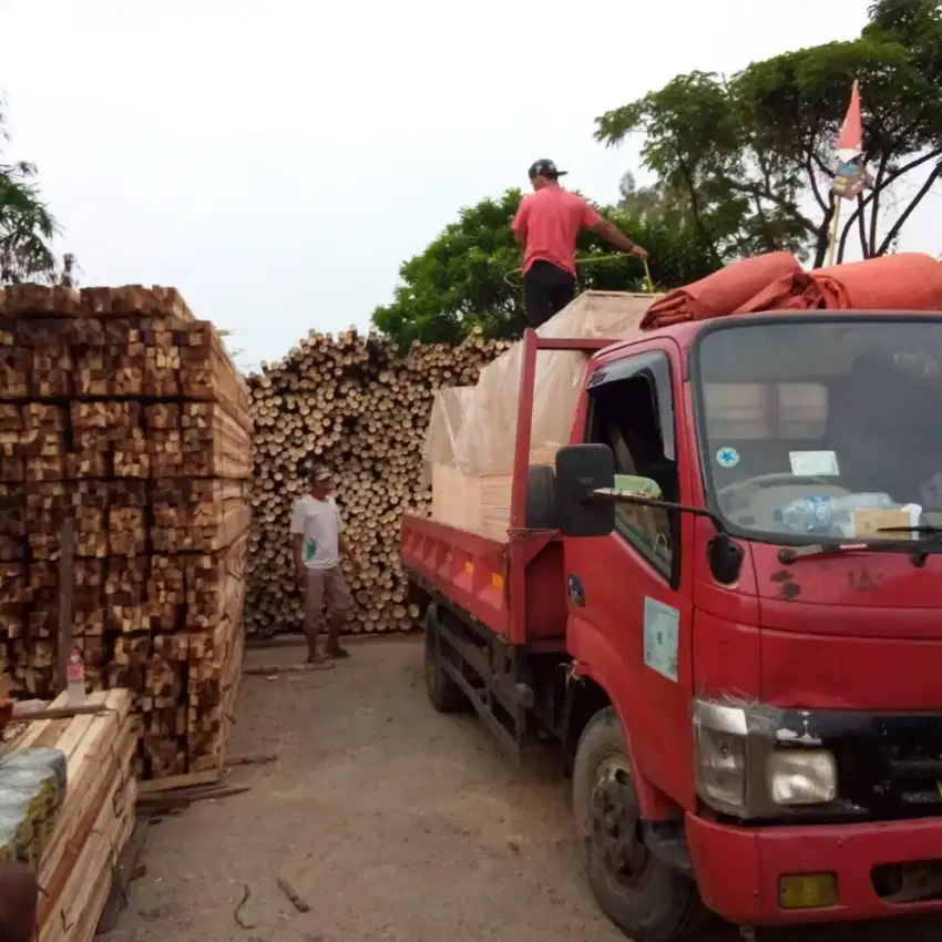 Jual bambu,kaso,triplek dll