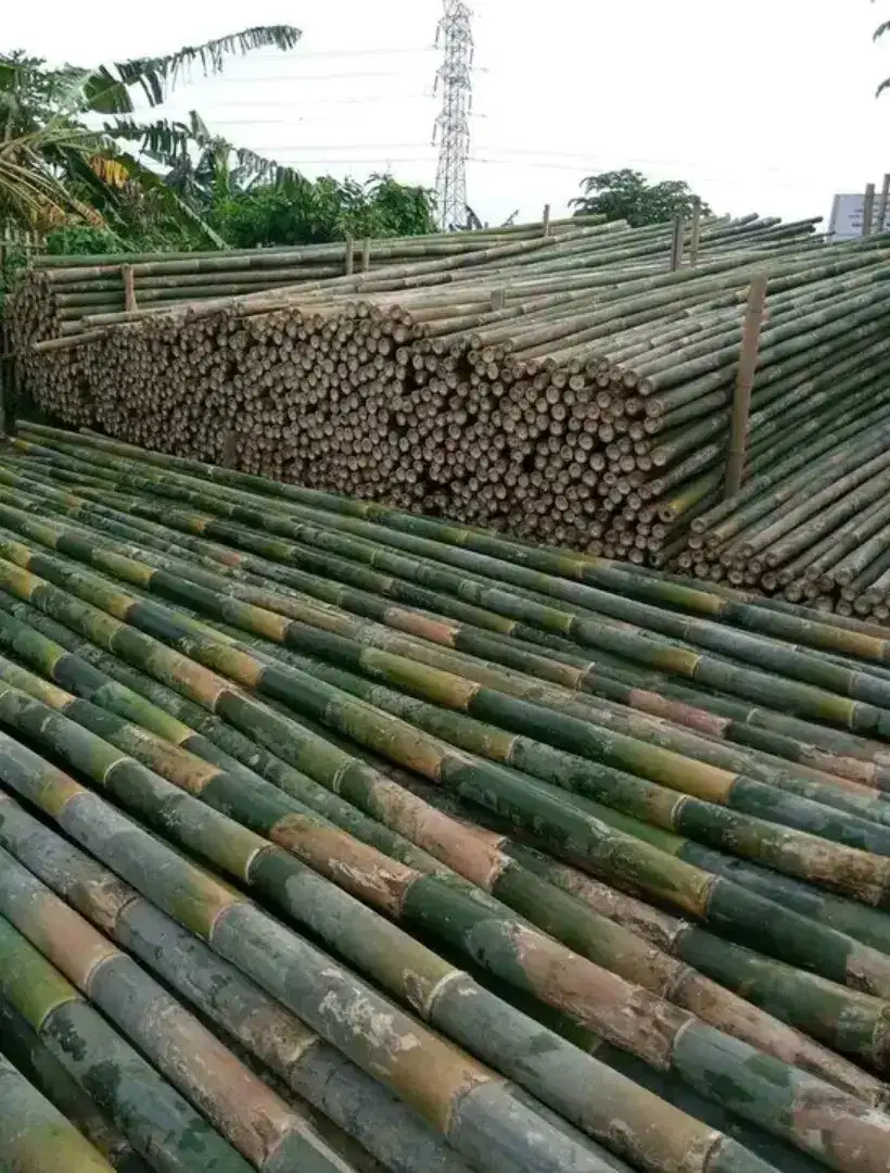 Jual bambu stger 7/8-8/10