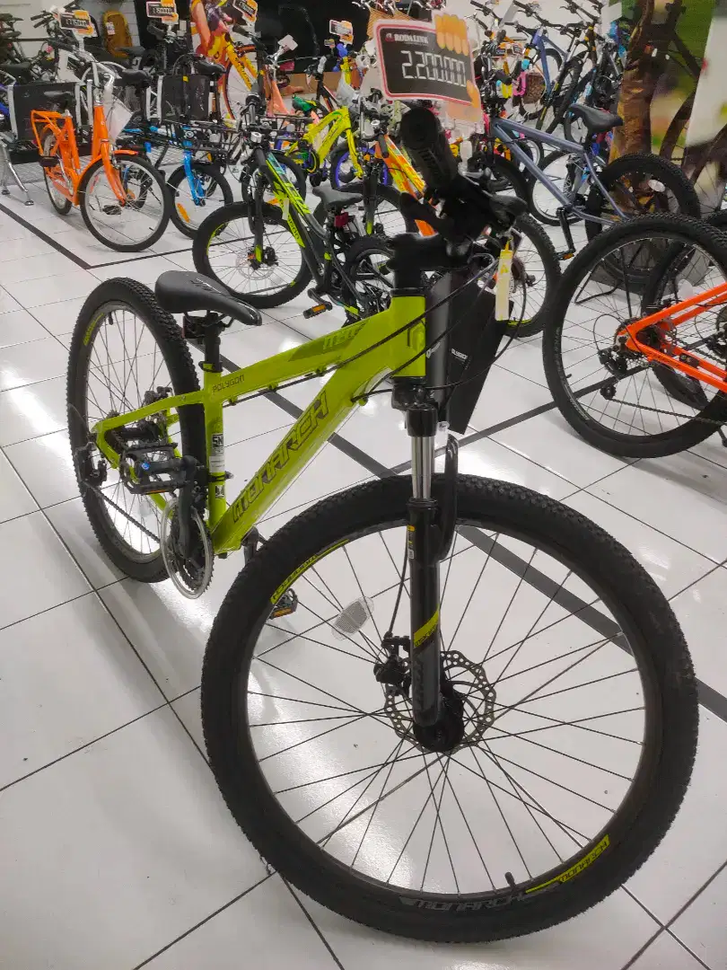 Sepeda Polygon Monarch MYT