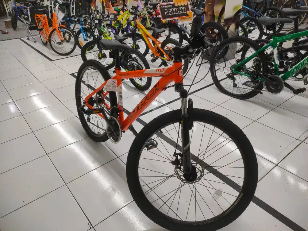 Sepeda Polygon Monarch M3