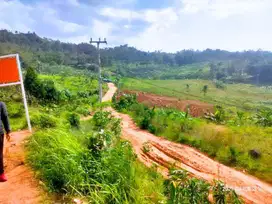 Disewakan Lahan Luas di Cibadak Bogor
