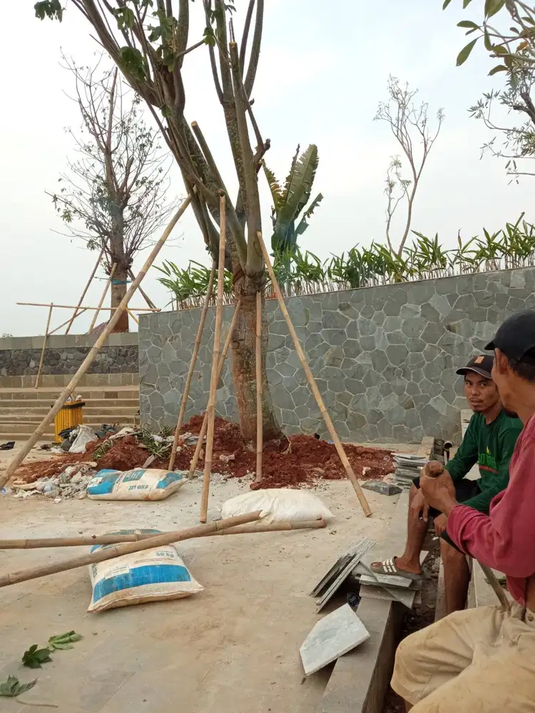 Distributor pohon pelindung