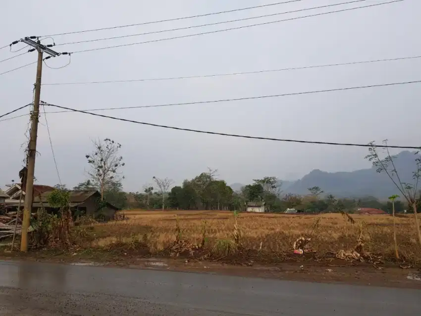 Disewakan tanah kosong di jalan Transyogi desa bantar kuning, cariu