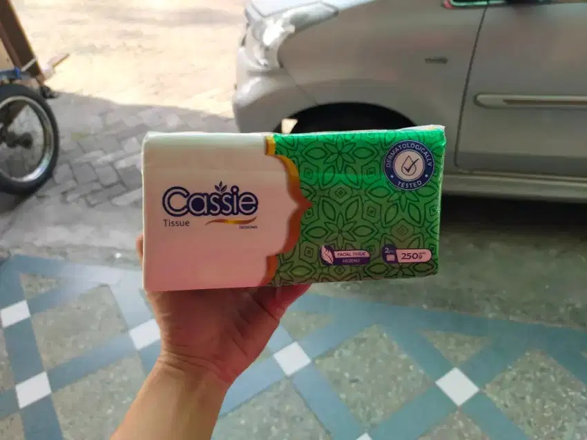 Tissue Cassie Facial 250gr 2ply (1 Dus)