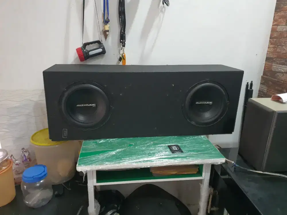 Subwoofer Altitud 10inc  (2pcs) by vox