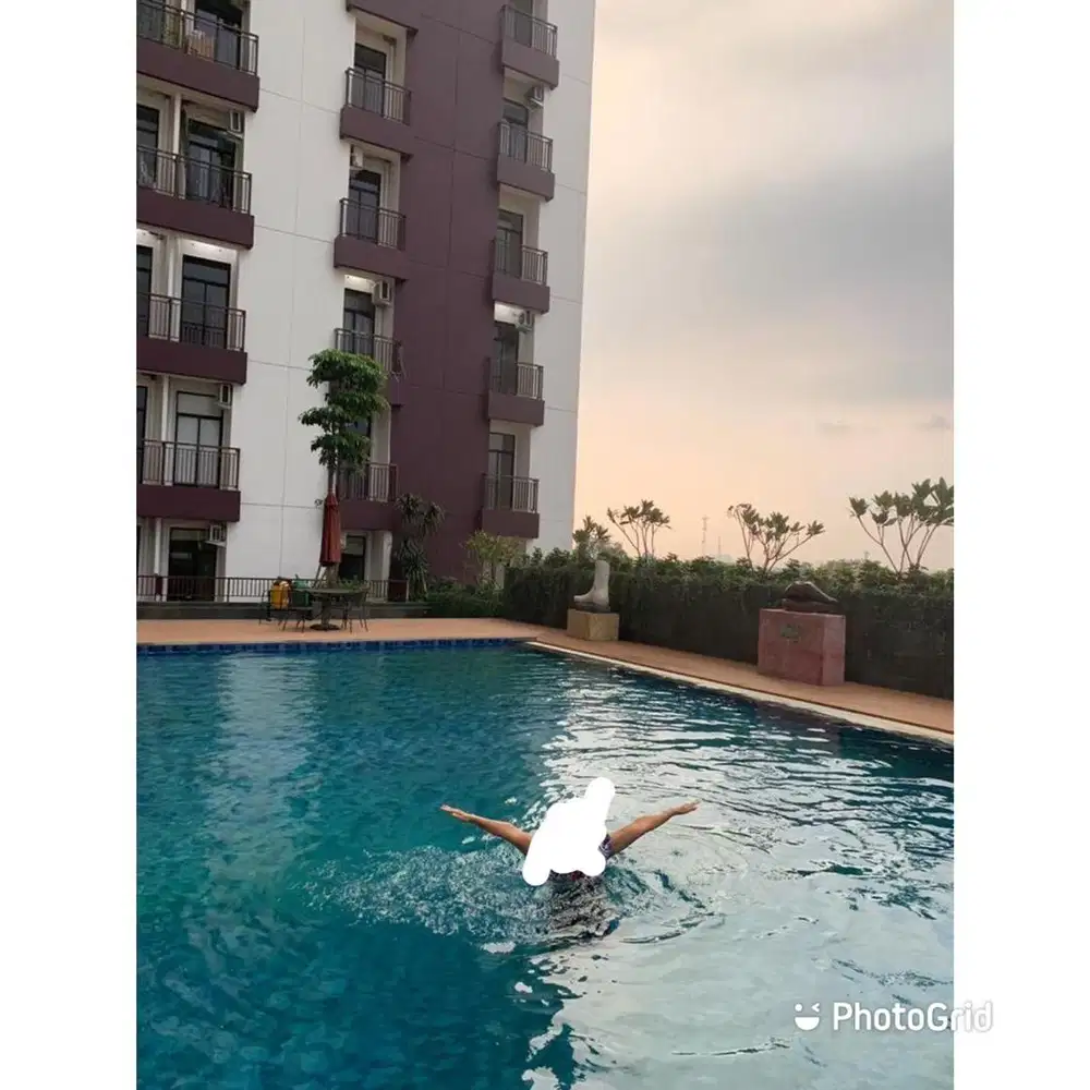 Disewakan/dijual Apartemen Dave