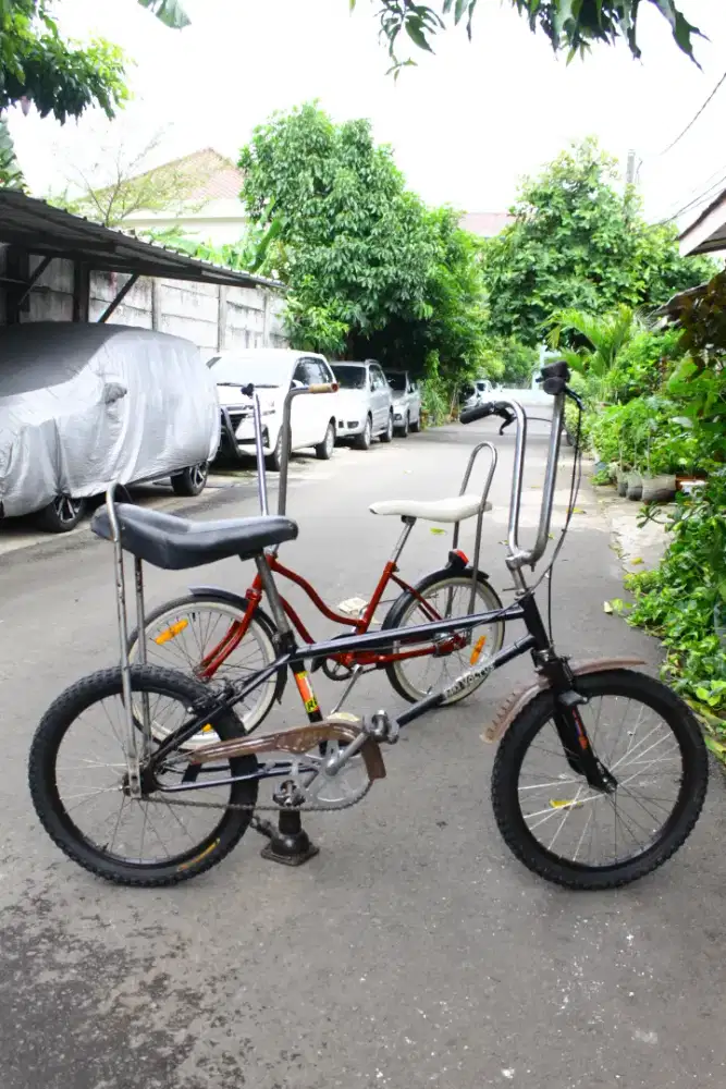 wimcycle voltus lowride style