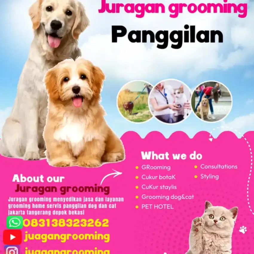 Grooming cat&dog home service_juragan grooming