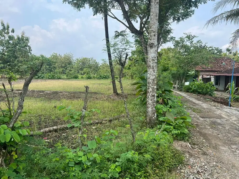 Dijual Tanah dekat Kampus UNY Gunung Kidul