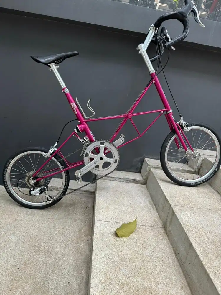 Alex moulton speed maroon 2x11