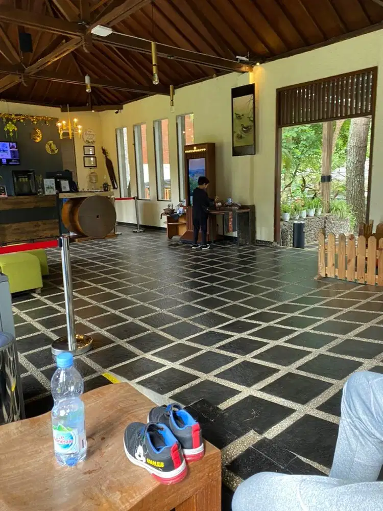 Dicari stylish di salon wanita