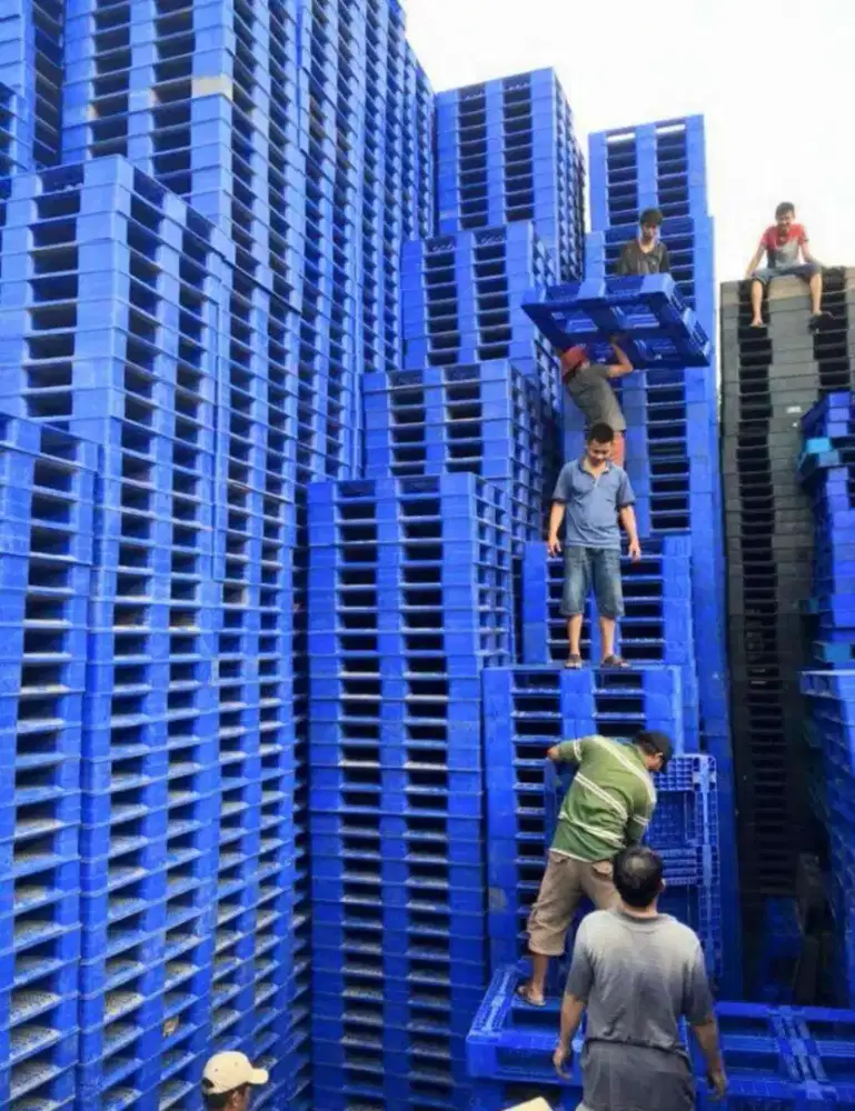Pallet plastik bekas berkualitas