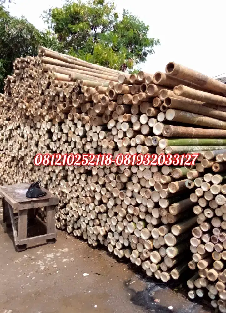 Jual bambu steger dll