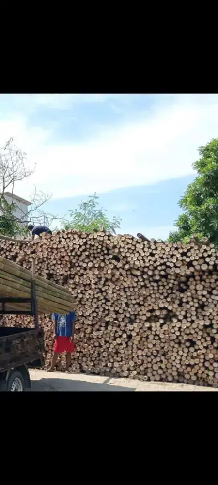 Jual bambu dan kaso