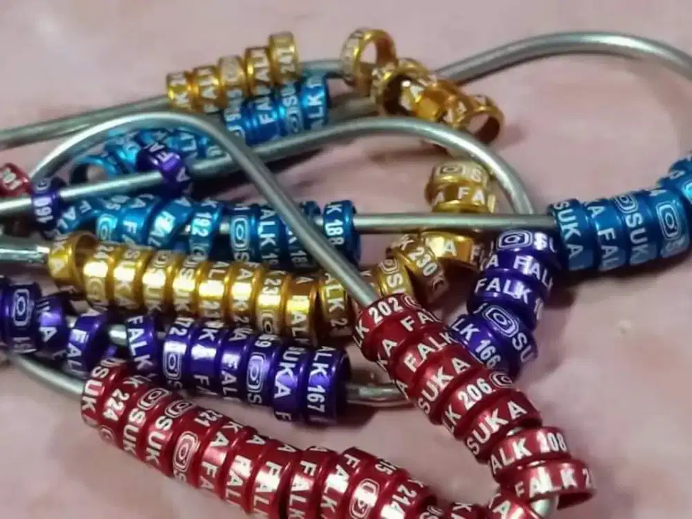 Ring Laser Slim tinggi 3 mm utk Falk, Monk