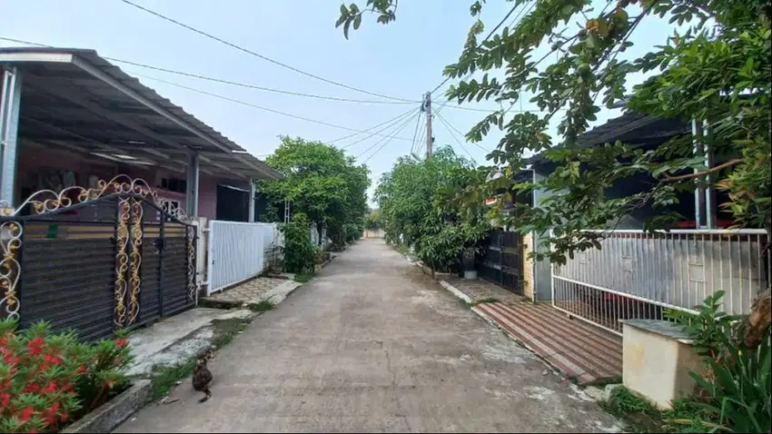 Sewa Kontrak Rumah Pesona Citayam Depok Apartemen Bojong Cibinong GDC