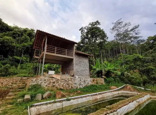 Tanah 4 Ha di ambarawa ada sumber mata air