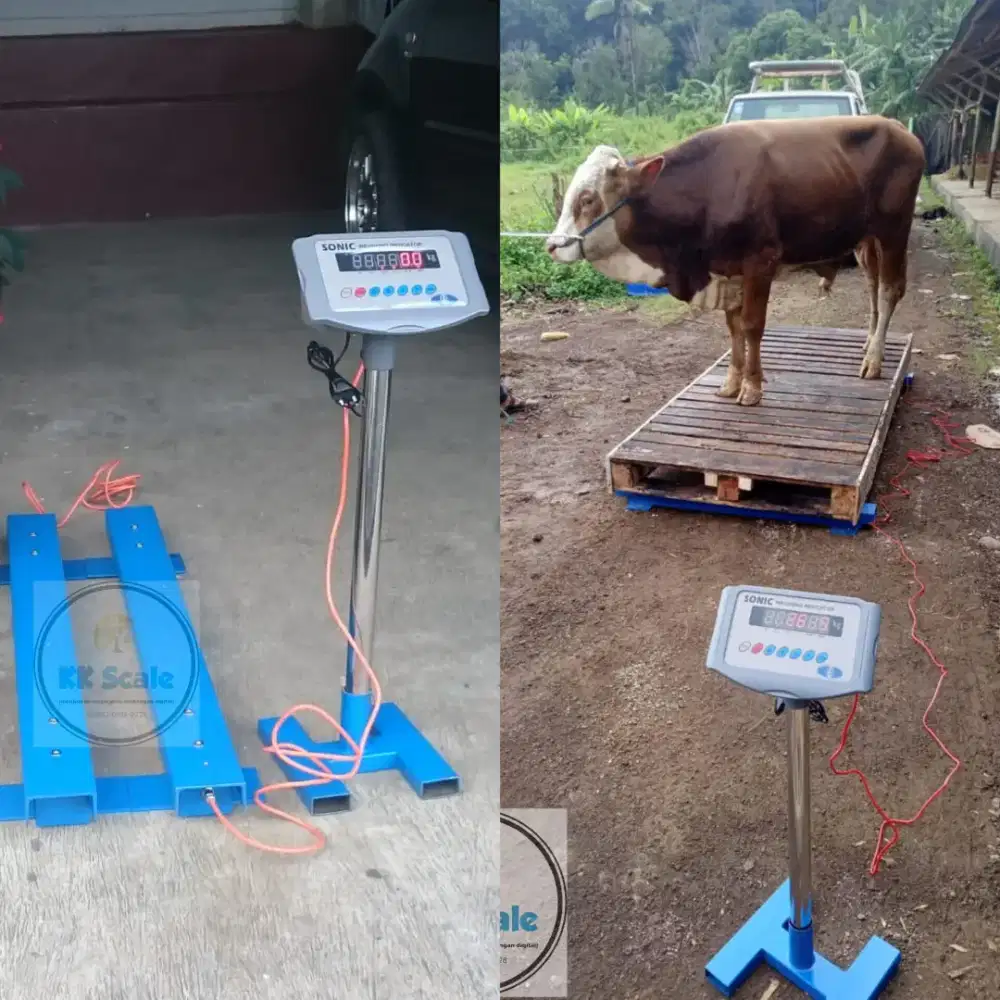Timbangan sapi digital berkapasitas 2 ton