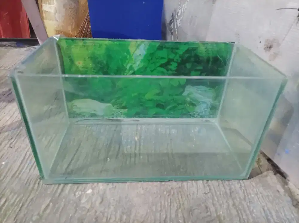 Aquarium bekas BUY 1 GET 2 kondisi siap pakai sesuai foto no editan
