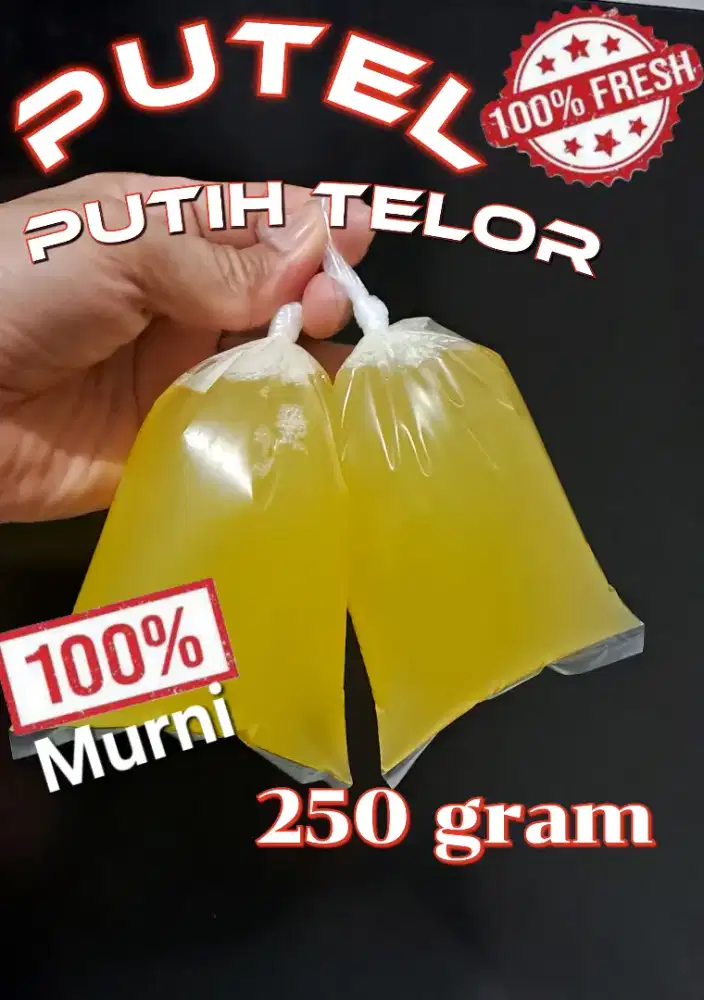 Putih telor murni fresh