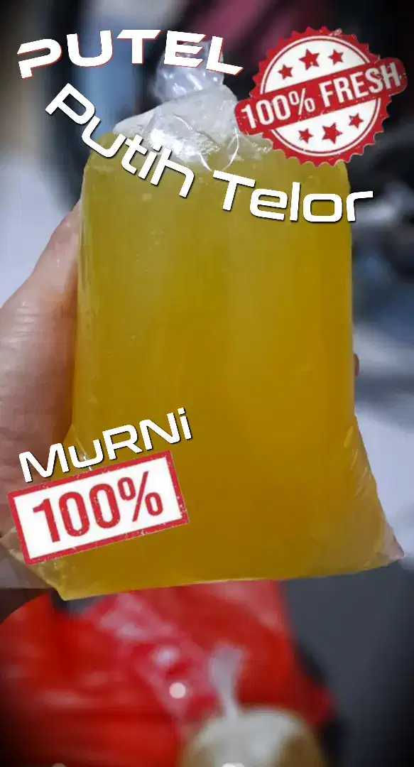 Putih telor fresh 100% murni