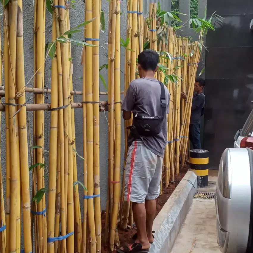 Tukang prawatan,renovasi taman baru untuk rumah,kantor dan pabrik.