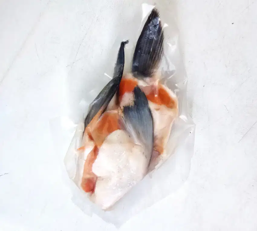 Rahang Salmon 240-270 gram - Depok