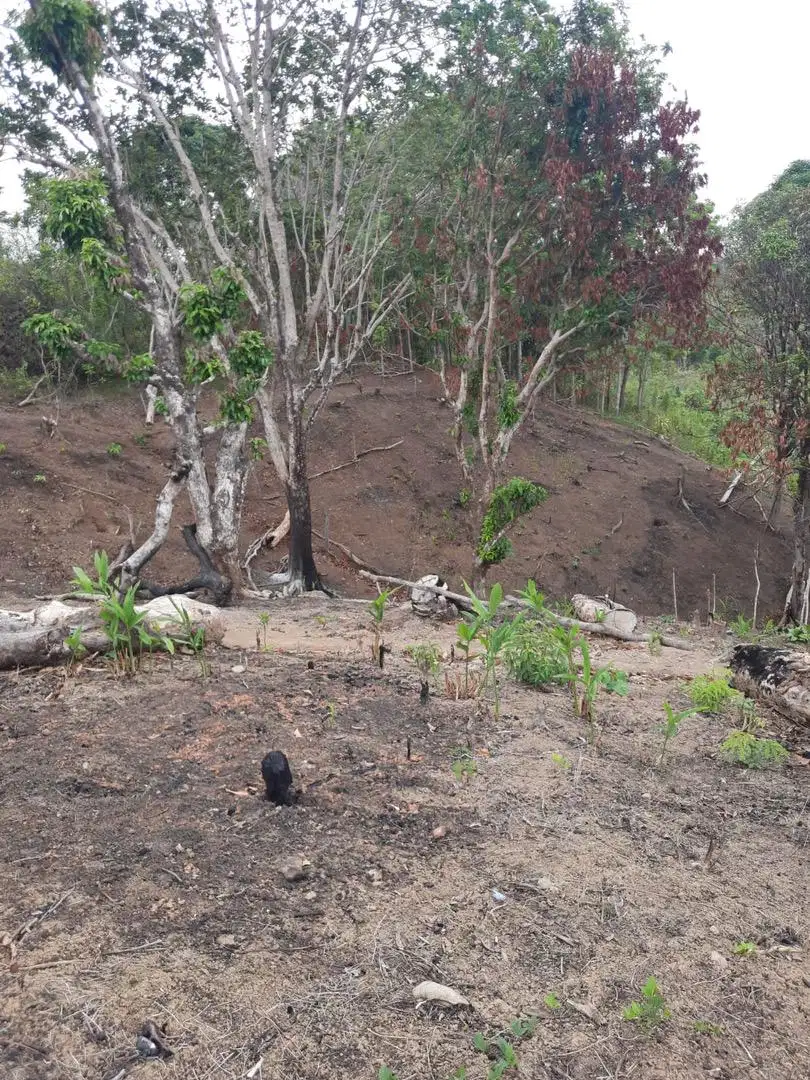 Dijual tanah di geopark ciletuh