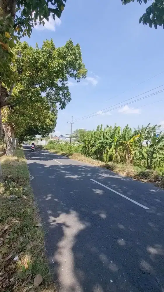 Tanah Industri Balongbendo