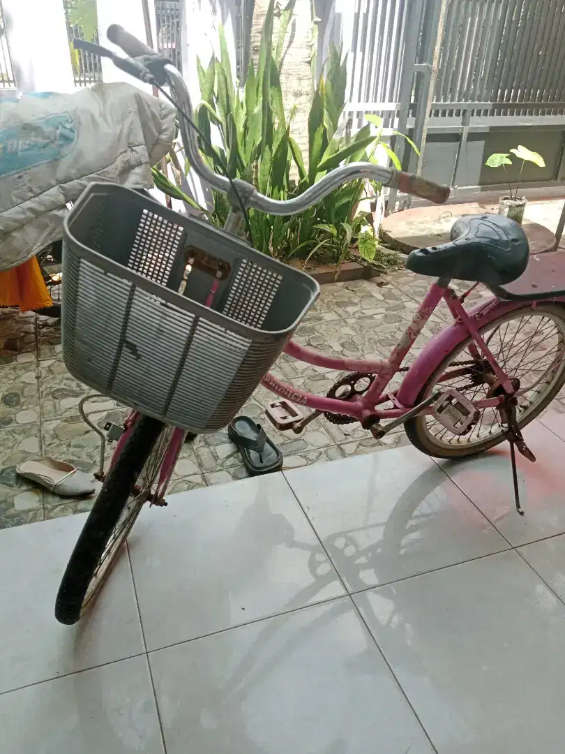 Dijual sepeda anak perempuan