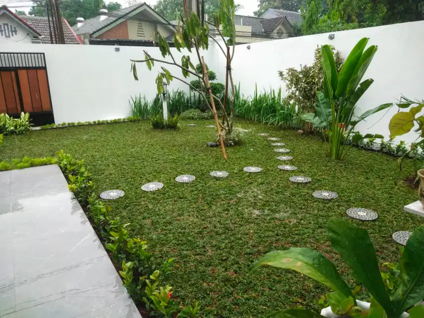 Tukang rumput gajah mini rumput taman