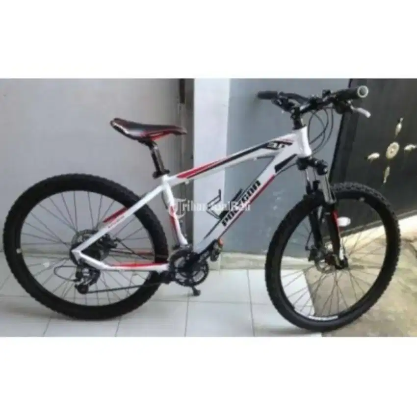Sepeda MTB polygon xtrada 3