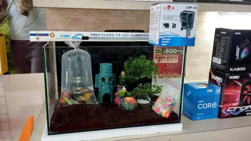 Aquarium fullsett siap pakai