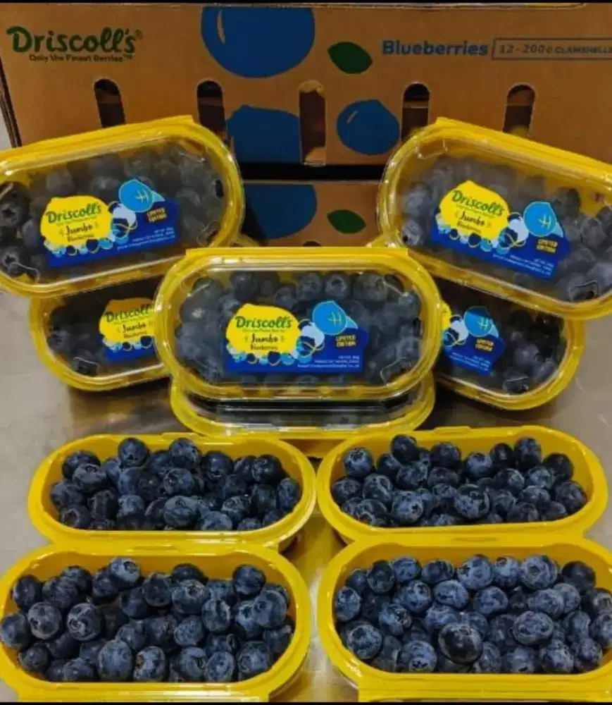 Blue bery jumbo 200gr 150rb ready