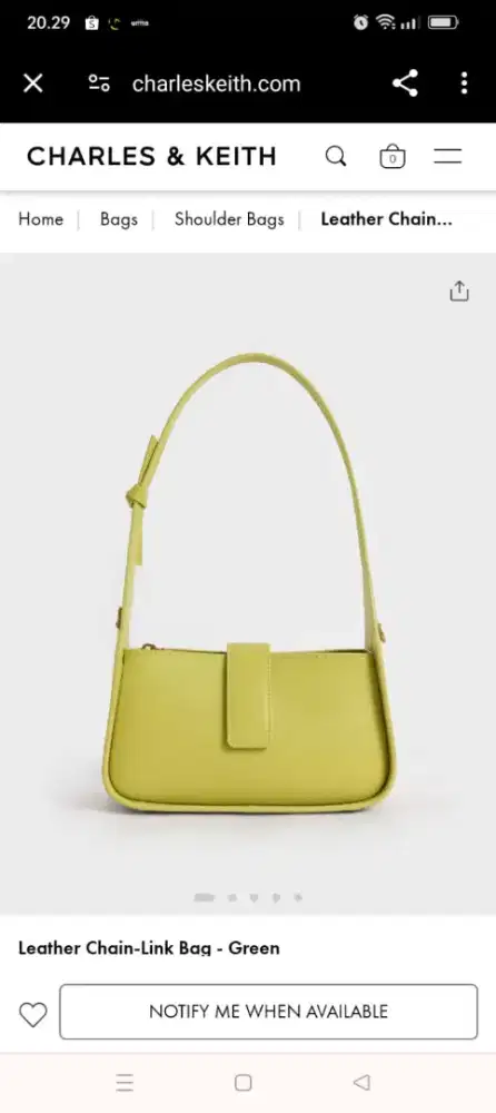Charles & keith leather green