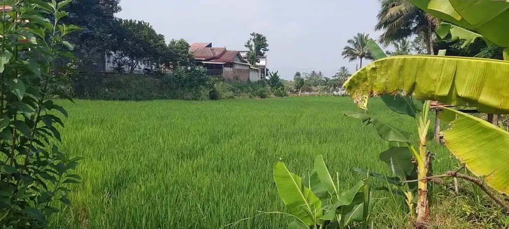 Dijual Tanah Murah Di Sukabumi Kota