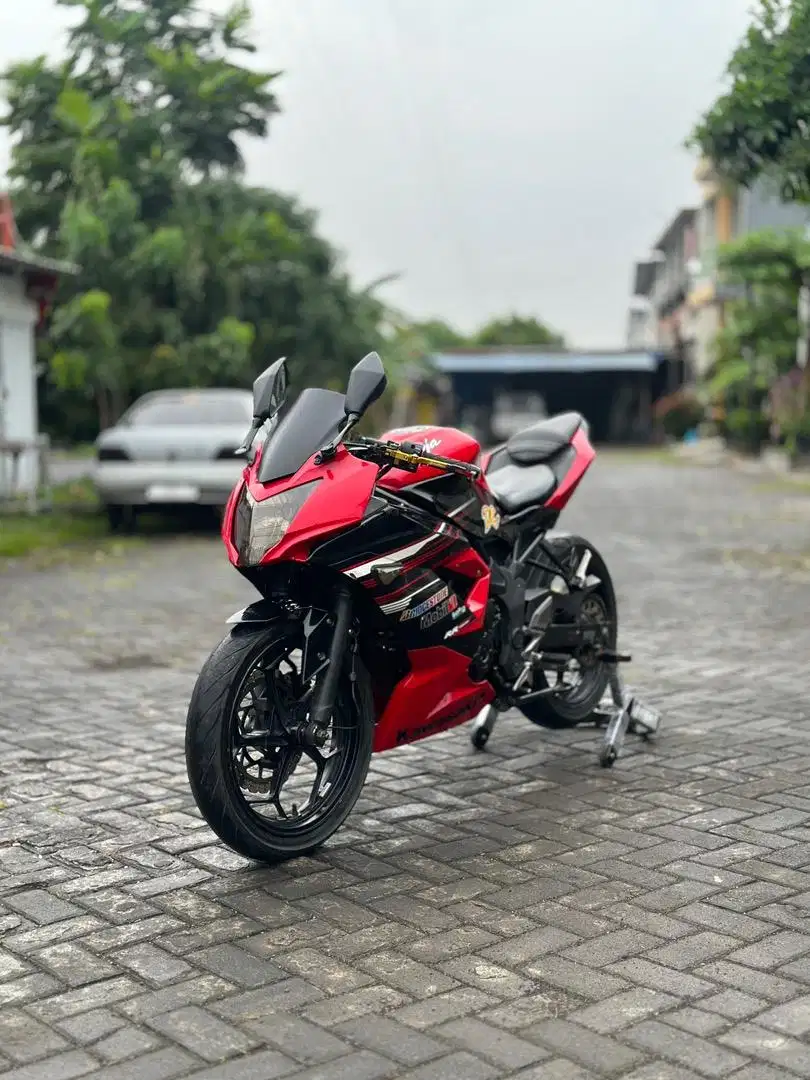 Ninja 250 mono 2014