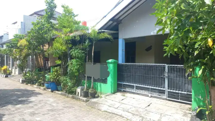 RUMAH DI BULUSAN UNDIP TEMBALANG