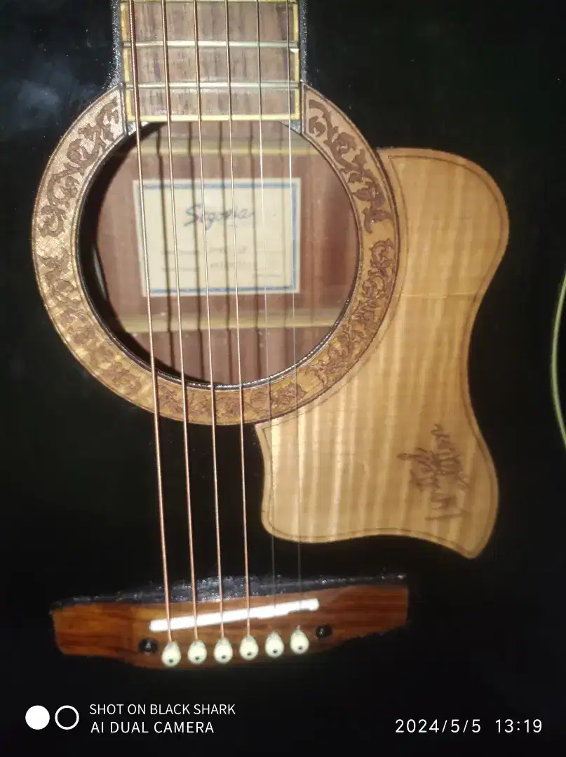 gitar akustik elektrik sergovia dw07 gn