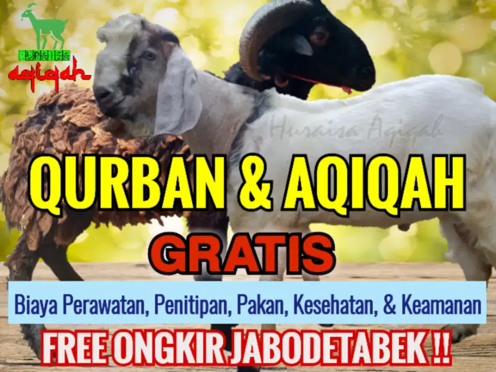jual kambing domba qurban, aqiqah, paket aqiqah dll. gratis ongkir