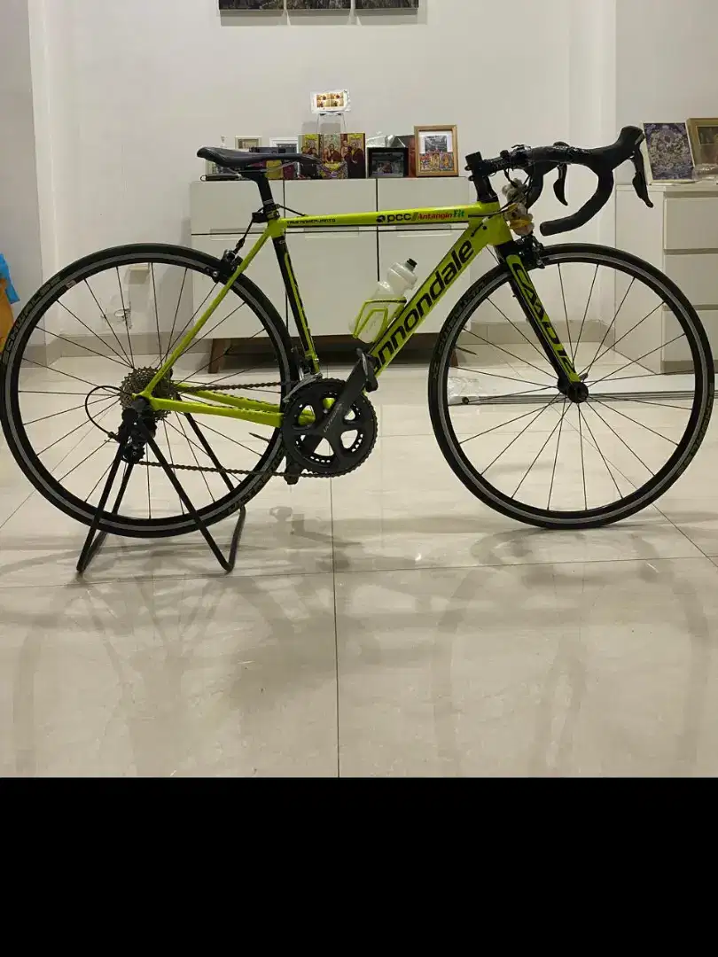 Sepeda canodale bagus